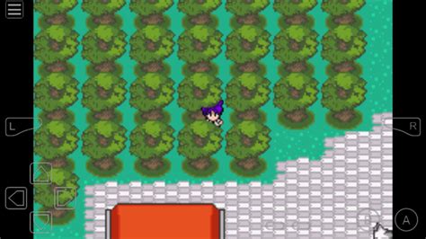 pokemon mega evolution 2 gba cheat codes|Pokemon Mega Power Cheats, GameShark Codes .